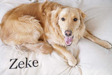 Load image into Gallery viewer, Tan Dog Bed Cover - Custom Dog Bed - Personalized Dog Bed - Light Brown Dog Bed - Pet Beds - Modern Dog Bed Cover - Dog Bed - ALL SIZES