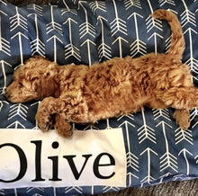 Load image into Gallery viewer, Dog Bed Cover - Navy Arrow Dog Bed - Personalized Dog Bed - Custom Dog Bed - Pet Beds - Blue Dog Bed Cover Dog Bed - ALL SIZES - Washable