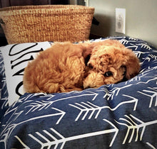 Load image into Gallery viewer, Dog Bed Cover - Navy Arrow Dog Bed - Personalized Dog Bed - Custom Dog Bed - Pet Beds - Blue Dog Bed Cover Dog Bed - ALL SIZES - Washable