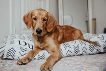 Load image into Gallery viewer, Dog Bed Cover - Arrow Dog Beds - Personalized Dog Bed - Custom Dog Bed - Pet Beds - Farmhouse Dog Bed Cover - Dog Bed - ALL SIZES - Washable
