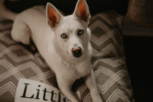 Load image into Gallery viewer, Tan Dog Bed Cover - Dog Beds - Personalized Dog Bed - Custom Dog Bed - Pet Beds - Ecru Dog Bed Cover - Dog Bed - ALL SIZES - Washable