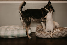 Load image into Gallery viewer, Tan Dog Bed Cover - Dog Beds - Personalized Dog Bed - Custom Dog Bed - Pet Beds - Ecru Dog Bed Cover - Dog Bed - ALL SIZES - Washable