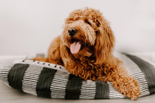 Load image into Gallery viewer, Dog Bed Cover - Charcoal Gray Dog Beds - Personalized Dog Bed - Custom Dog Bed - Pet Beds - Farmhouse Dog Bed Cover - ALL SIZES - Washable