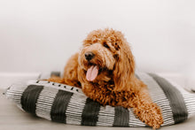 Load image into Gallery viewer, Dog Bed Cover - Charcoal Gray Dog Beds - Personalized Dog Bed - Custom Dog Bed - Pet Beds - Farmhouse Dog Bed Cover - ALL SIZES - Washable