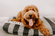 Load image into Gallery viewer, Dog Bed Cover - Charcoal Gray Dog Beds - Personalized Dog Bed - Custom Dog Bed - Pet Beds - Farmhouse Dog Bed Cover - ALL SIZES - Washable