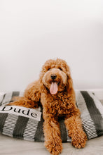 Load image into Gallery viewer, Dog Bed Cover - Charcoal Gray Dog Beds - Personalized Dog Bed - Custom Dog Bed - Pet Beds - Farmhouse Dog Bed Cover - ALL SIZES - Washable
