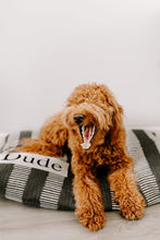Load image into Gallery viewer, Dog Bed Cover - Charcoal Gray Dog Beds - Personalized Dog Bed - Custom Dog Bed - Pet Beds - Farmhouse Dog Bed Cover - ALL SIZES - Washable