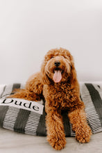 Load image into Gallery viewer, Dog Bed Cover - Charcoal Gray Dog Beds - Personalized Dog Bed - Custom Dog Bed - Pet Beds - Farmhouse Dog Bed Cover - ALL SIZES - Washable