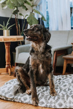 Load image into Gallery viewer, Farmhouse Dog Beds - Dog Bed Cover - Personalized Dog Bed - Custom Dog Bed - Pet Beds - Black and Tan Dog Bed Cover - ALL SIZES - Washable