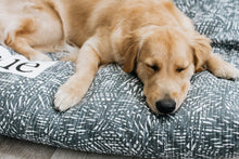 Load image into Gallery viewer, Dog Bed Cover - Washable Dog Bed - Custom Pet Bed - Dog Mat - Floor Pad - Personalized Dog Bed - Large Breed Dog Bed - Striped Dog Bed