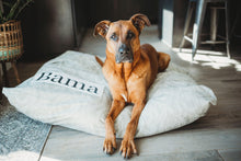 Load image into Gallery viewer, Tan Dog Bed Cover - Dog Beds - Personalized Dog Bed - Custom Dog Bed - Tan and White - Dog Bed Cover - ALL SIZES - Washable