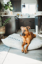 Load image into Gallery viewer, Tan Dog Bed Cover - Dog Beds - Personalized Dog Bed - Custom Dog Bed - Tan and White - Dog Bed Cover - ALL SIZES - Washable