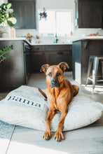 Load image into Gallery viewer, Tan Dog Bed Cover - Dog Beds - Personalized Dog Bed - Custom Dog Bed - Tan and White - Dog Bed Cover - ALL SIZES - Washable