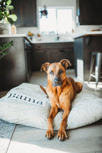 Load image into Gallery viewer, Tan Dog Bed Cover - Dog Beds - Personalized Dog Bed - Custom Dog Bed - Tan and White - Dog Bed Cover - ALL SIZES - Washable