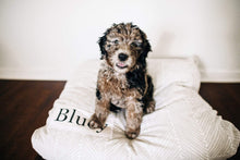 Load image into Gallery viewer, Herringbone Dog Bed - Dog Bed Cover - Farmhouse Dog Bed - Tan and White - Puppy Bed - Washable - Large Pet Bed - Custom Dog Bed
