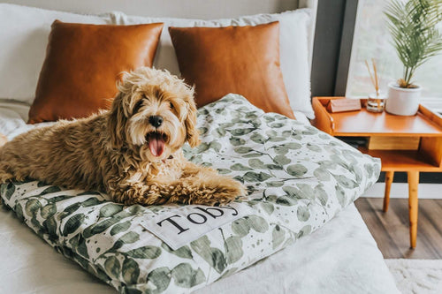Dog Bed - Dog Bed Cover - Plant Dog Bed - Pet Pillow - Washable Dog Bed - Custom Dog Pillow - Modern Farmhouse Dog Bed - Botanical Dog Bed
