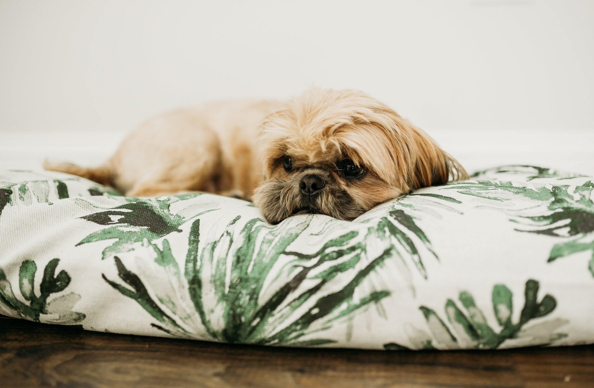 Palm leaf dog bed best sale