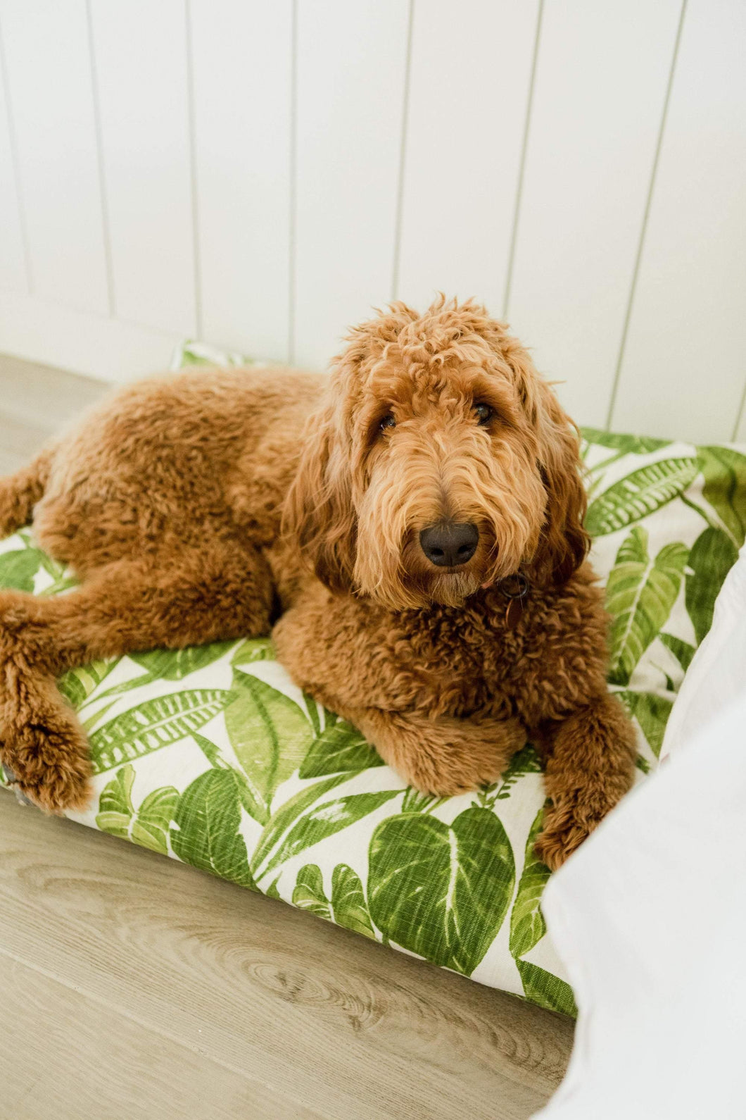 Boho Dog Bed Cover - Dog Beds - Personalized Dog Bed - Leaf Dog Bed - Pet Beds - Farmhouse Dog Bed Cover - ALL SIZES - Washable