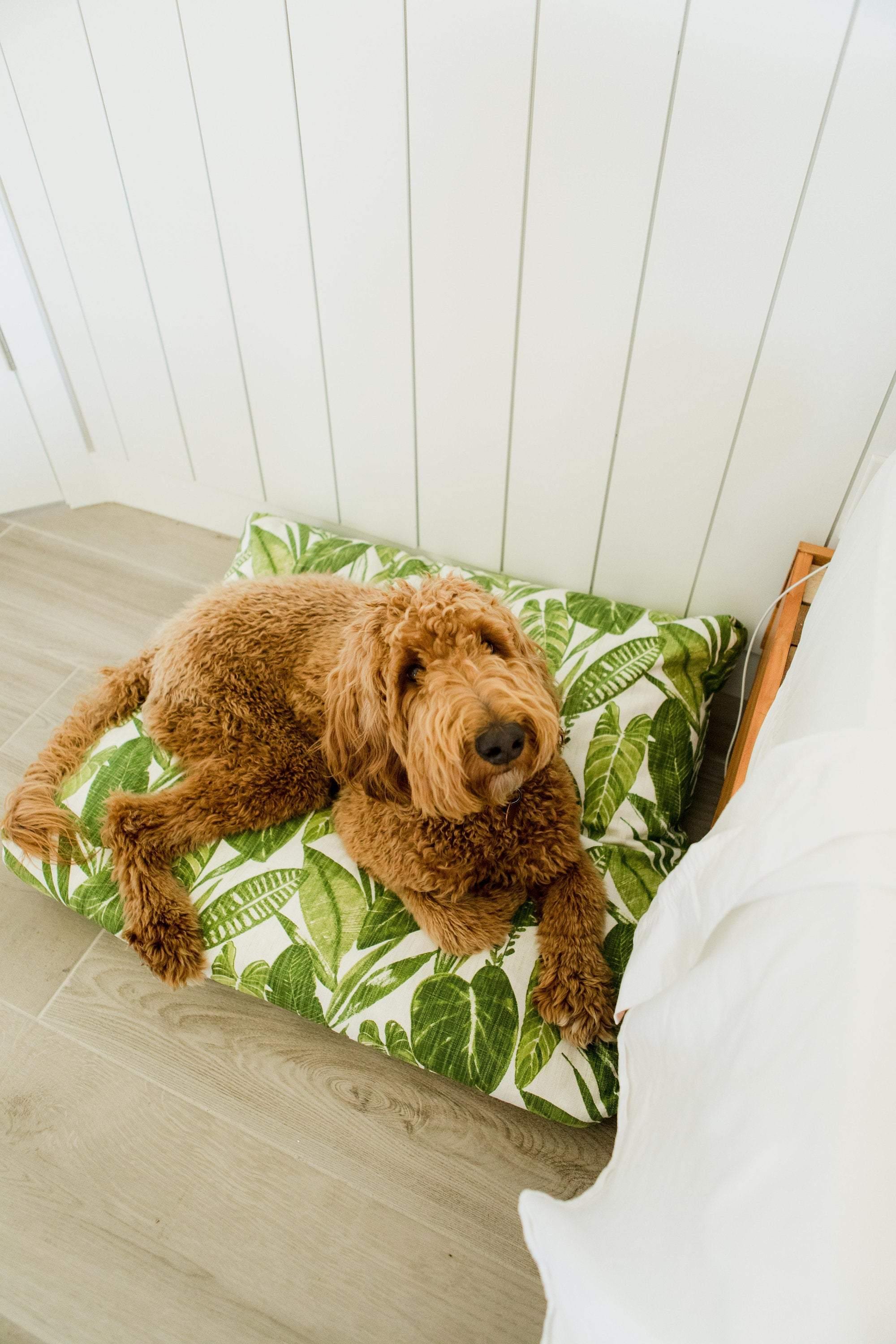 Palm leaf dog bed hotsell