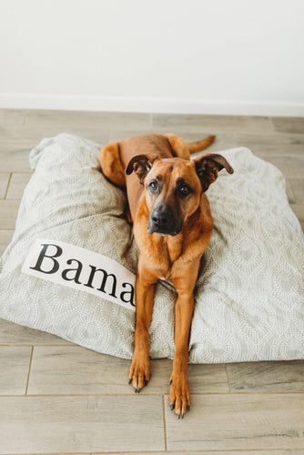 Tan Dog Bed Cover - Dog Beds - Personalized Dog Bed - Custom Dog Bed - Tan and White - Dog Bed Cover - ALL SIZES - Washable