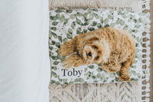 Load image into Gallery viewer, Dog Bed - Dog Bed Cover - Plant Dog Bed - Pet Pillow - Washable Dog Bed - Custom Dog Pillow - Modern Farmhouse Dog Bed - Botanical Dog Bed
